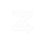Zentry Logo